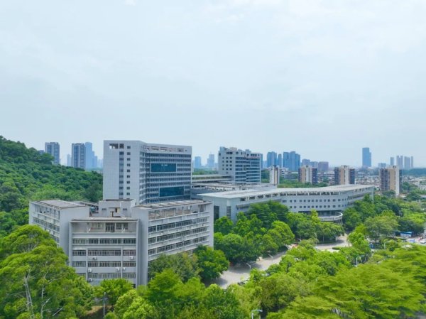 股票怎么加杠杆买入 “免垫付、零现金”！跨境医疗直付服务落地南沙→